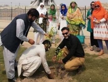 Tree Plantation